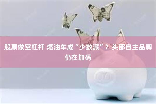 股票做空杠杆 燃油车成“少数派”？头部自主品牌仍在加码