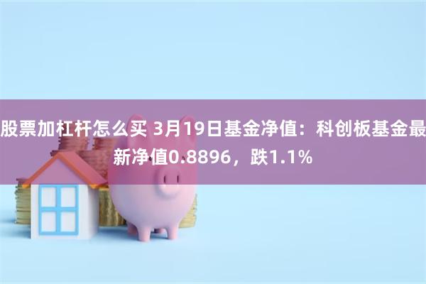 股票加杠杆怎么买 3月19日基金净值：科创板基金最新净值0.8896，跌1.1%