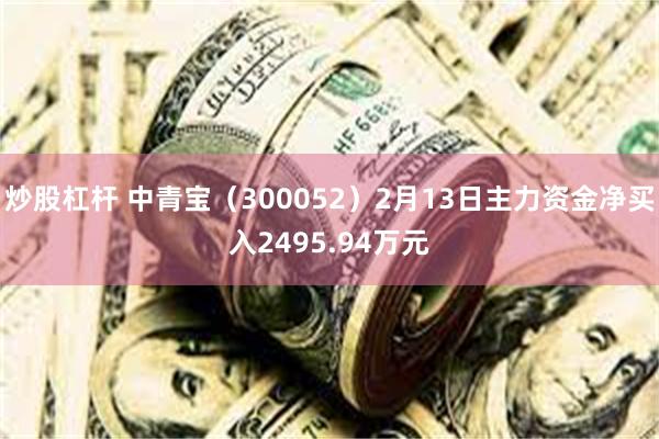 炒股杠杆 中青宝（300052）2月13日主力资金净买入2495.94万元