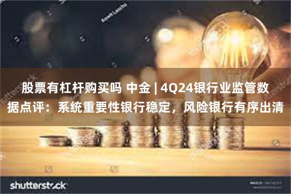 股票有杠杆购买吗 中金 | 4Q24银行业监管数据点评：系统重要性银行稳定，风险银行有序出清