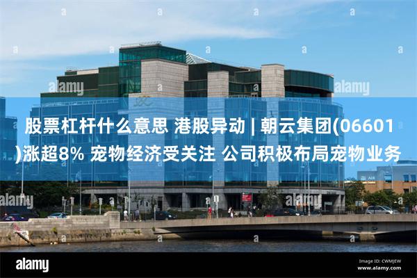 股票杠杆什么意思 港股异动 | 朝云集团(06601)涨超8% 宠物经济受关注 公司积极布局宠物业务