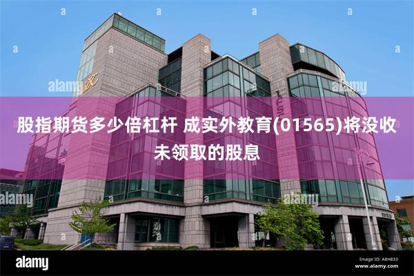 股指期货多少倍杠杆 成实外教育(01565)将没收未领取的股息