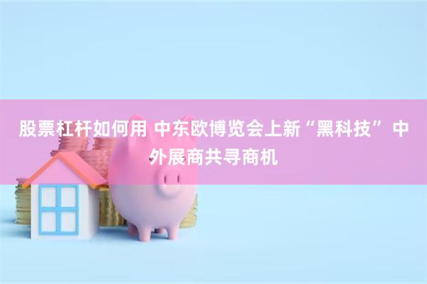 股票杠杆如何用 中东欧博览会上新“黑科技” 中外展商共寻商机