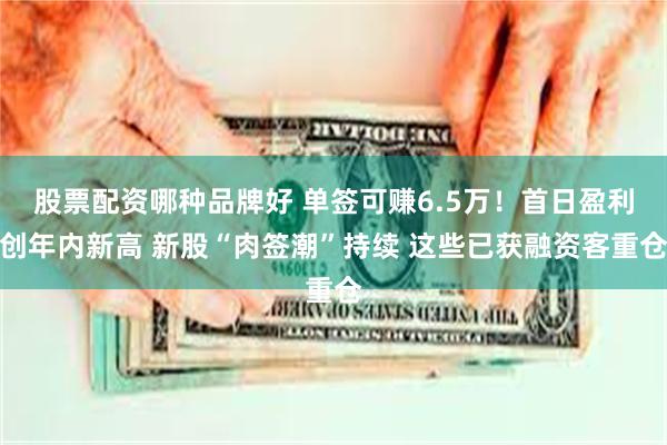 股票配资哪种品牌好 单签可赚6.5万！首日盈利创年内新高 新股“肉签潮”持续 这些已获融资客重仓