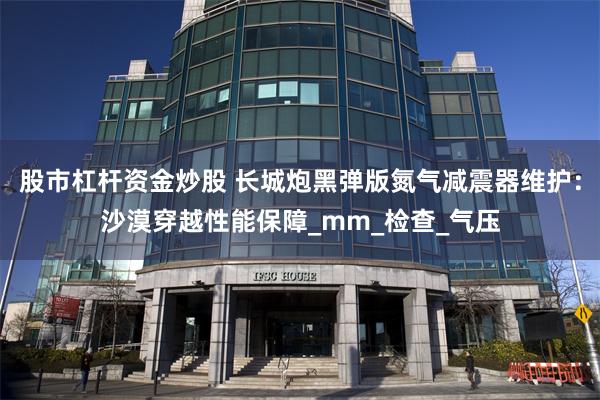 股市杠杆资金炒股 长城炮黑弹版氮气减震器维护：沙漠穿越性能保障_mm_检查_气压